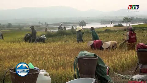 Tổng kết mô hình trình diễn sản xuất lúa trên đồng ruộng mới sản ủi 📷