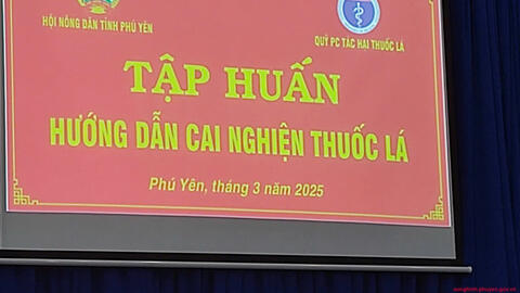 Tập huấn công tác phòng, chống tác hại của thuốc lá năm 2025