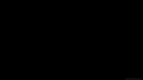 GPXD NGuyễn Thị Phương DUng